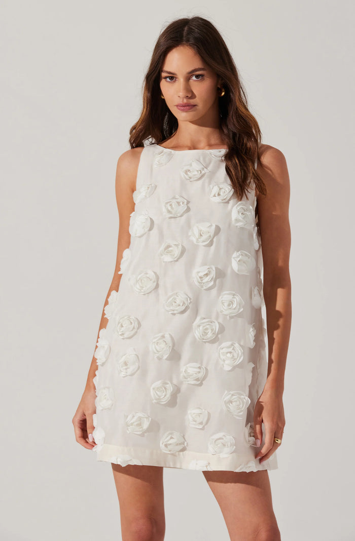 ASTR Floria 3D Floral Appliqué Dress White